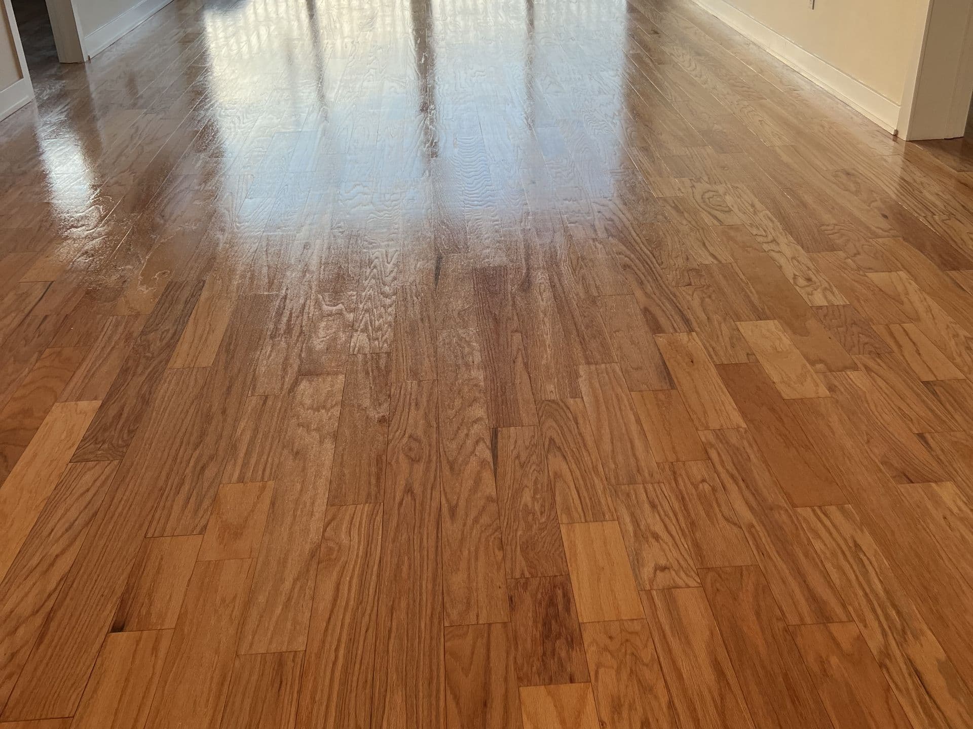 Glossy refinished oak floor beside the same room mid-project with the sander on raw sanded wood