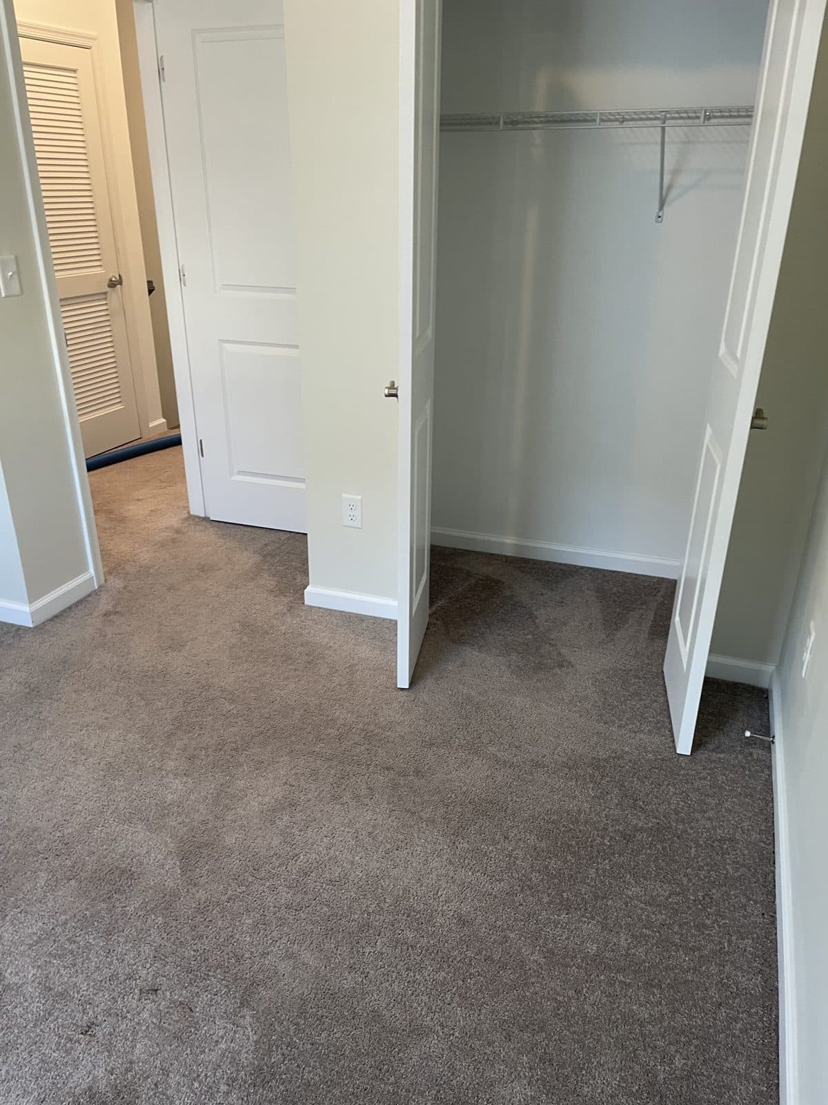 Clean carpet in a bright room after professional treatment